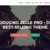 Zelle Pro (Zerif Pro) 2.1.6 GPL Theme 3 Zelle Pro Zerif Pro 2.1.6破解版主题