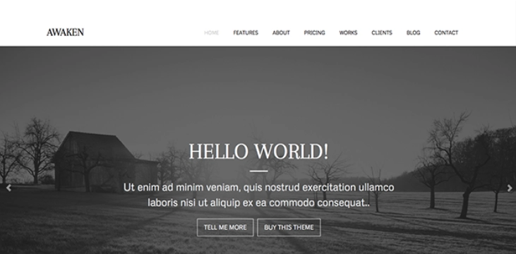 ZigZagPress Awaken 1.2.6 GPL Theme 1 ZigZagPress Awaken 1.2.6 GPL Theme