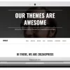 ZigZagPress Single WordPress Theme 1.3.3破解版主题