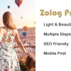 Zolog Pro WordPress Blog Theme WordPress Theme 1.0.0破解版主题