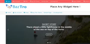 iShop Pro – WP Theme insertcart 2.7 GPL Theme