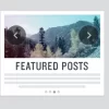 iThemes DisplayBuddy Featured Posts 2.0.37破解版插件