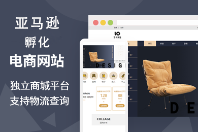 亚马逊 跨境电商平台运营孵化